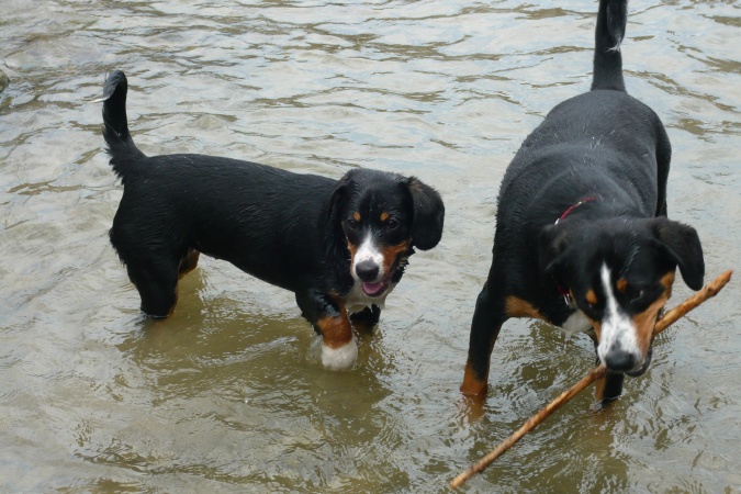 Besuch_cully_genfersee.JPG