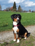 Kaya