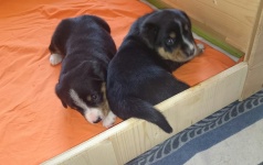 Woche 2 und 3