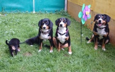 Cino und Oxana zu Besuch