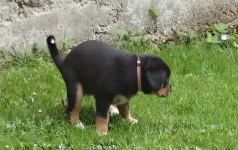 Woche 6