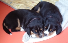 Woche 6