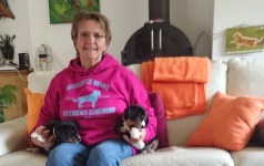 Neuer Pulli