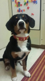 Lenny
