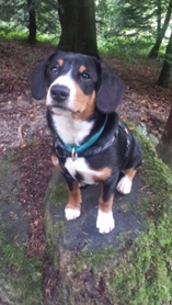 Lenny