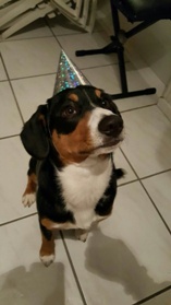 Lenny