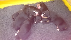 Woche 1