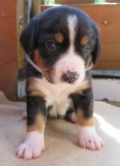 Woche 4