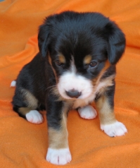 Woche 4