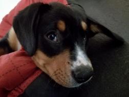 Nora